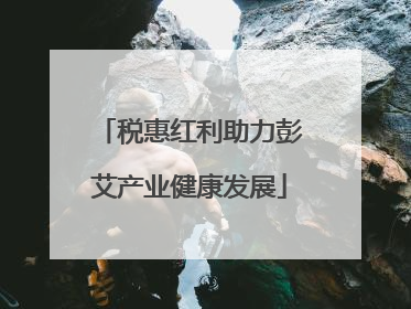 税惠红利助力彭艾产业健康发展
