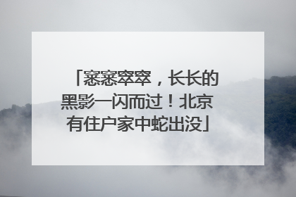 窸窸窣窣，长长的黑影一闪而过！北京有住户家中蛇出没