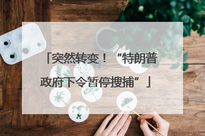 突然转变!“特朗普政府下令暂停搜捕”