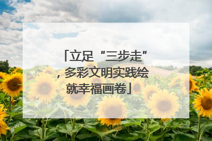 立足“三步走”，多彩文明实践绘就幸福画卷