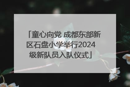 童心向党 成都东部新区石盘小学举行2024级新队员入队仪式