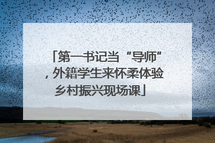 第一书记当“导师”，外籍学生来怀柔体验乡村振兴现场课