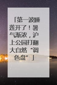 第一波睡莲开了！暑气渐浓，沪上公园打翻大自然“调色盘”