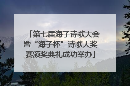 第七届海子诗歌大会暨“海子杯”诗歌大奖赛颁奖典礼成功举办