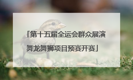 第十五届全运会群众展演舞龙舞狮项目预赛开赛