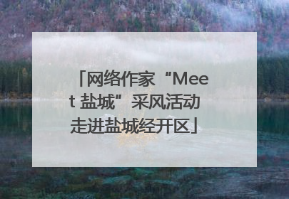 网络作家“Meet 盐城”采风活动走进盐城经开区