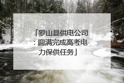 罗山县供电公司：圆满完成高考电力保供任务