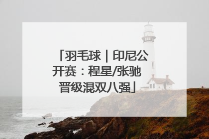 羽毛球｜印尼公开赛：程星/张驰晋级混双八强