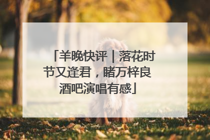 羊晚快评｜落花时节又逢君，睹万梓良酒吧演唱有感