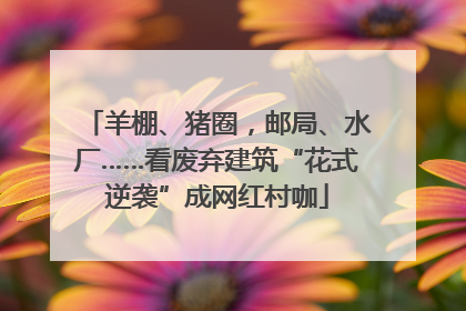 羊棚、猪圈，邮局、水厂……看废弃建筑“花式逆袭”成网红村咖