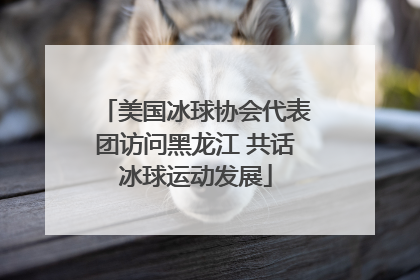 美国冰球协会代表团访问黑龙江 共话冰球运动发展