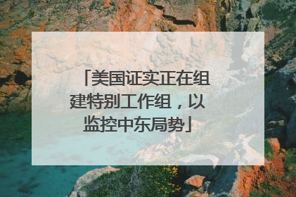 美国证实正在组建特别工作组，以监控中东局势