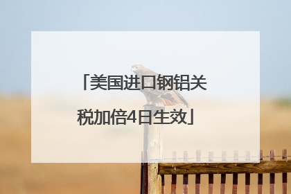 美国进口钢铝关税加倍4日生效