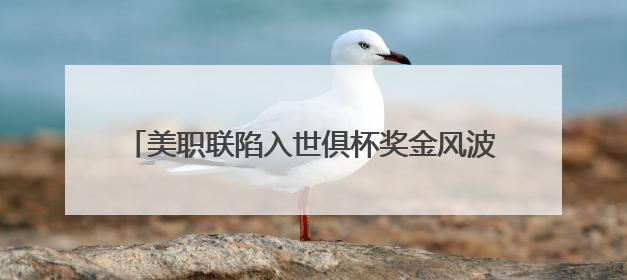 美职联陷入世俱杯奖金风波：参赛队球员要求分得更多奖金，抵制联盟的“剥削”