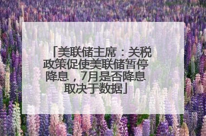 美联储主席：关税政策促使美联储暂停降息，7月是否降息取决于数据