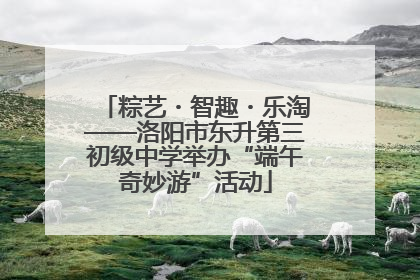 粽艺・智趣・乐淘——洛阳市东升第三初级中学举办“端午奇妙游”活动