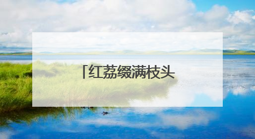 红荔缀满枝头 村民增收有了“甜蜜密码”