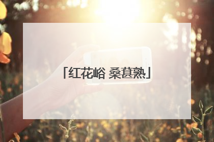 红花峪 桑葚熟