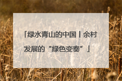 绿水青山的中国丨余村发展的“绿色变奏”