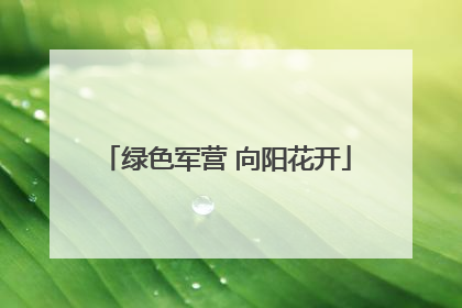 绿色军营 向阳花开