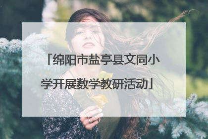 绵阳市盐亭县文同小学开展数学教研活动
