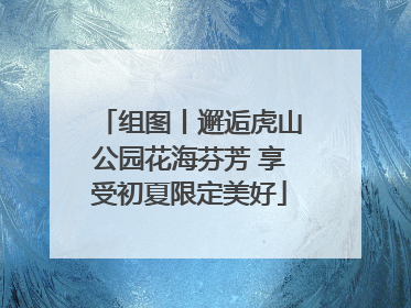 组图丨邂逅虎山公园花海芬芳 享受初夏限定美好
