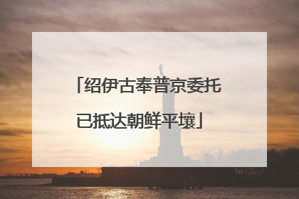 绍伊古奉普京委托已抵达朝鲜平壤