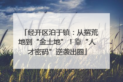 经开区泊于镇：从撂荒地到“金土地”！靠“人才密码”逆袭出圈