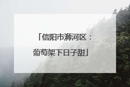 信阳市浉河区：葡萄架下日子甜