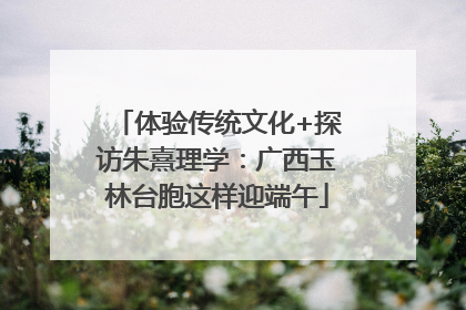 体验传统文化+探访朱熹理学：广西玉林台胞这样迎端午