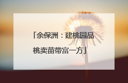 余保洲：建桃园品桃卖苗带富一方