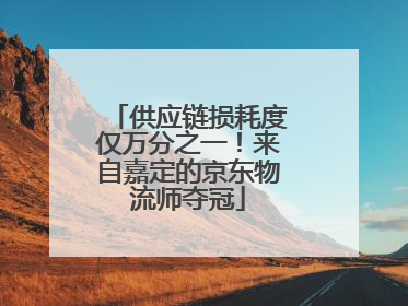 供应链损耗度仅万分之一！来自嘉定的京东物流师夺冠