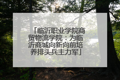 临沂职业学院商贸物流学院：为临沂商城向新向前培养排头兵主力军