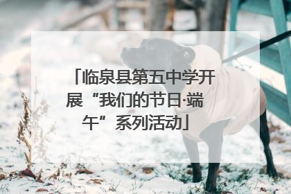 临泉县第五中学开展“我们的节日·端午”系列活动