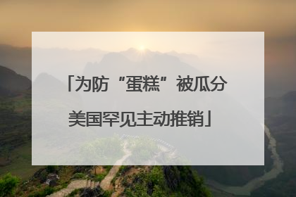 为防“蛋糕”被瓜分 美国罕见主动推销
