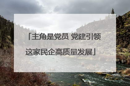 主角是党员 党建引领这家民企高质量发展