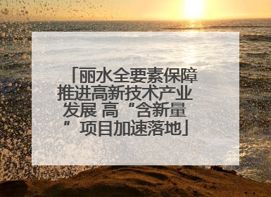 丽水全要素保障推进高新技术产业发展 高“含新量”项目加速落地