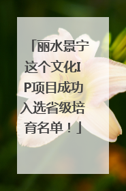 丽水景宁这个文化IP项目成功入选省级培育名单！