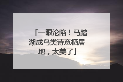 一眼沦陷！马踏湖成鸟类诗意栖居地，太美了