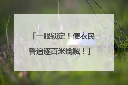 一眼锁定!便衣民警追逐百米擒贼!