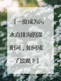 一度成为污水直排沟的滏阳河，如何成了景观？