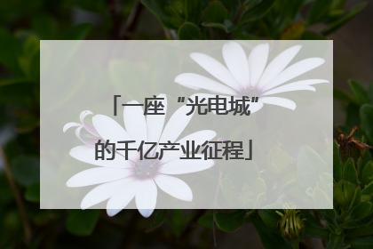 一座“光电城”的千亿产业征程
