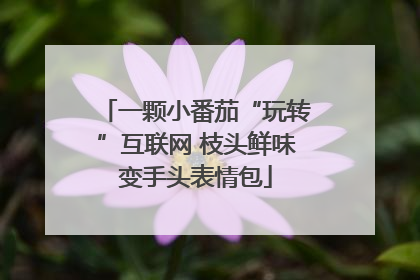 一颗小番茄“玩转”互联网 枝头鲜味变手头表情包