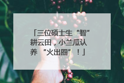三位硕士生“智” 耕云田，小兰瓜认养 “火出圈”！