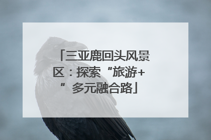 三亚鹿回头风景区：探索“旅游+”多元融合路
