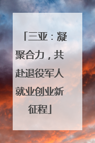 三亚：凝聚合力，共赴退役军人就业创业新征程