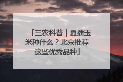 三农科普｜夏播玉米种什么？北京推荐这些优秀品种