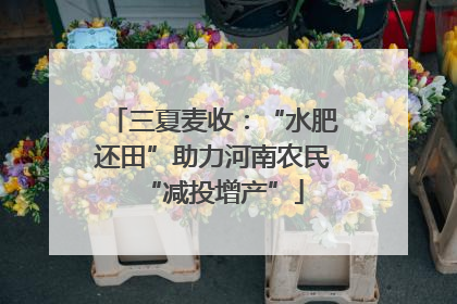 三夏麦收：“水肥还田”助力河南农民“减投增产”