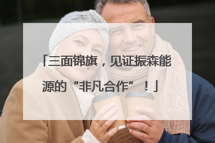 三面锦旗，见证振森能源的“非凡合作”！