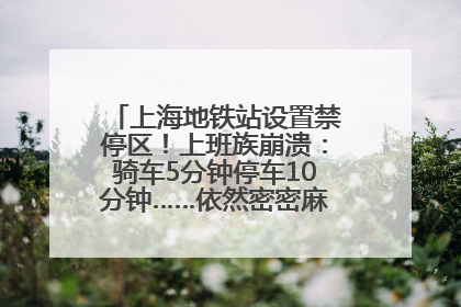 上海地铁站设置禁停区！上班族崩溃：骑车5分钟停车10分钟……依然密密麻麻无从下脚？